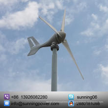 Stabile 300W 3 Blatt Mini Wind Turbine